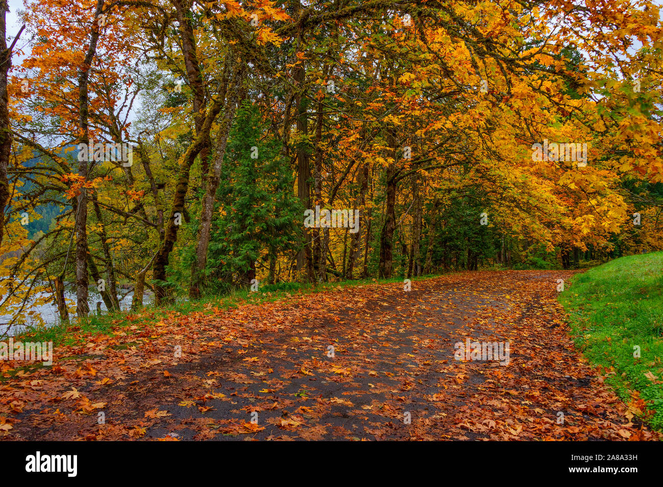 Oakridge oregon hires stock photography and images Alamy