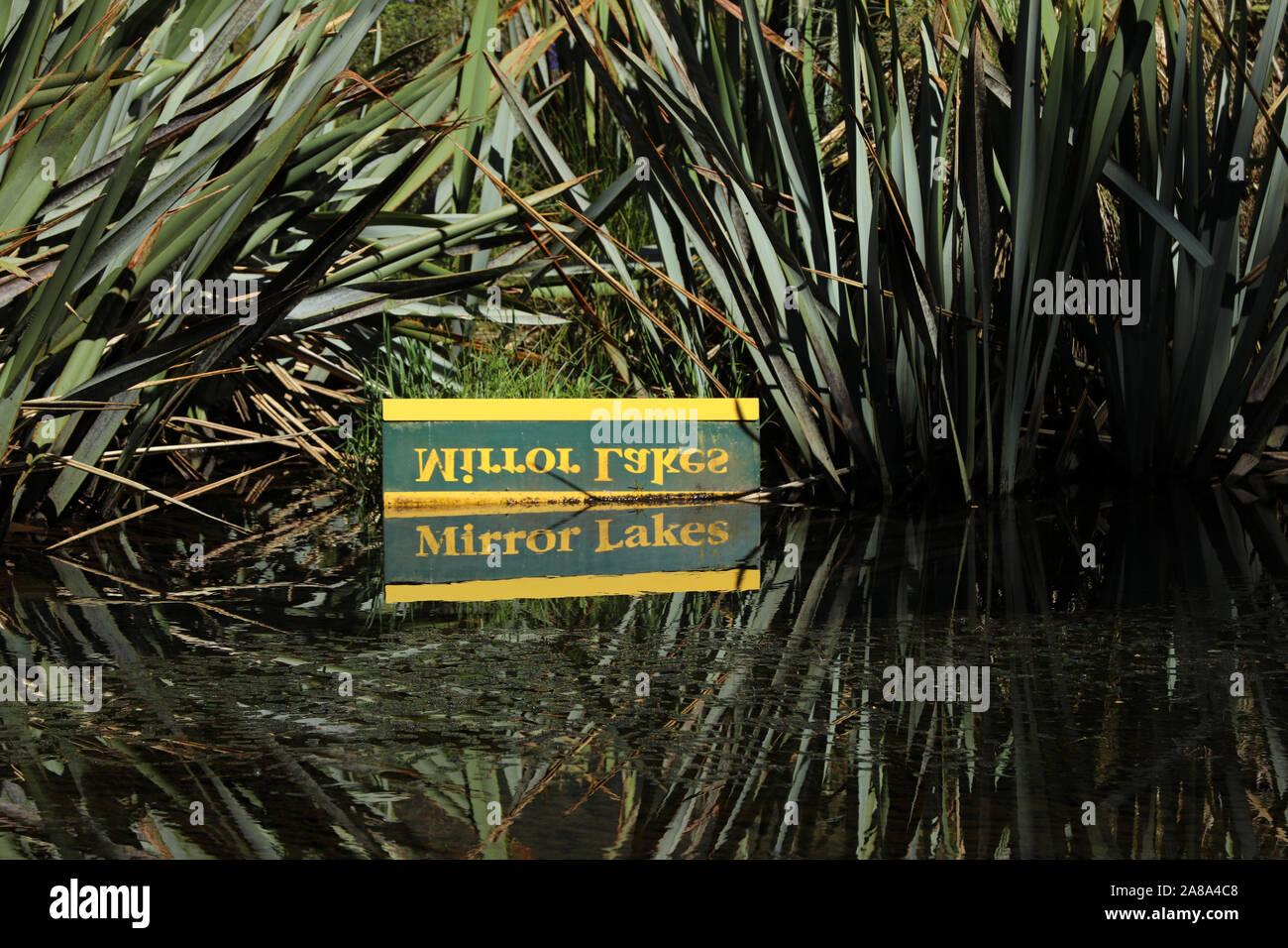 Lake Matheson Mirror Lake New Zealand Stock Photo - Alamy
