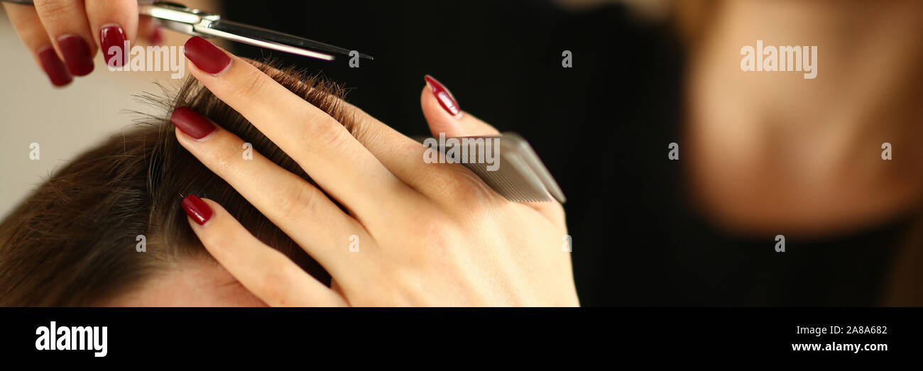 Hairdresser Hands Holding Scissors and Hairbrush Stock Photo Alamy