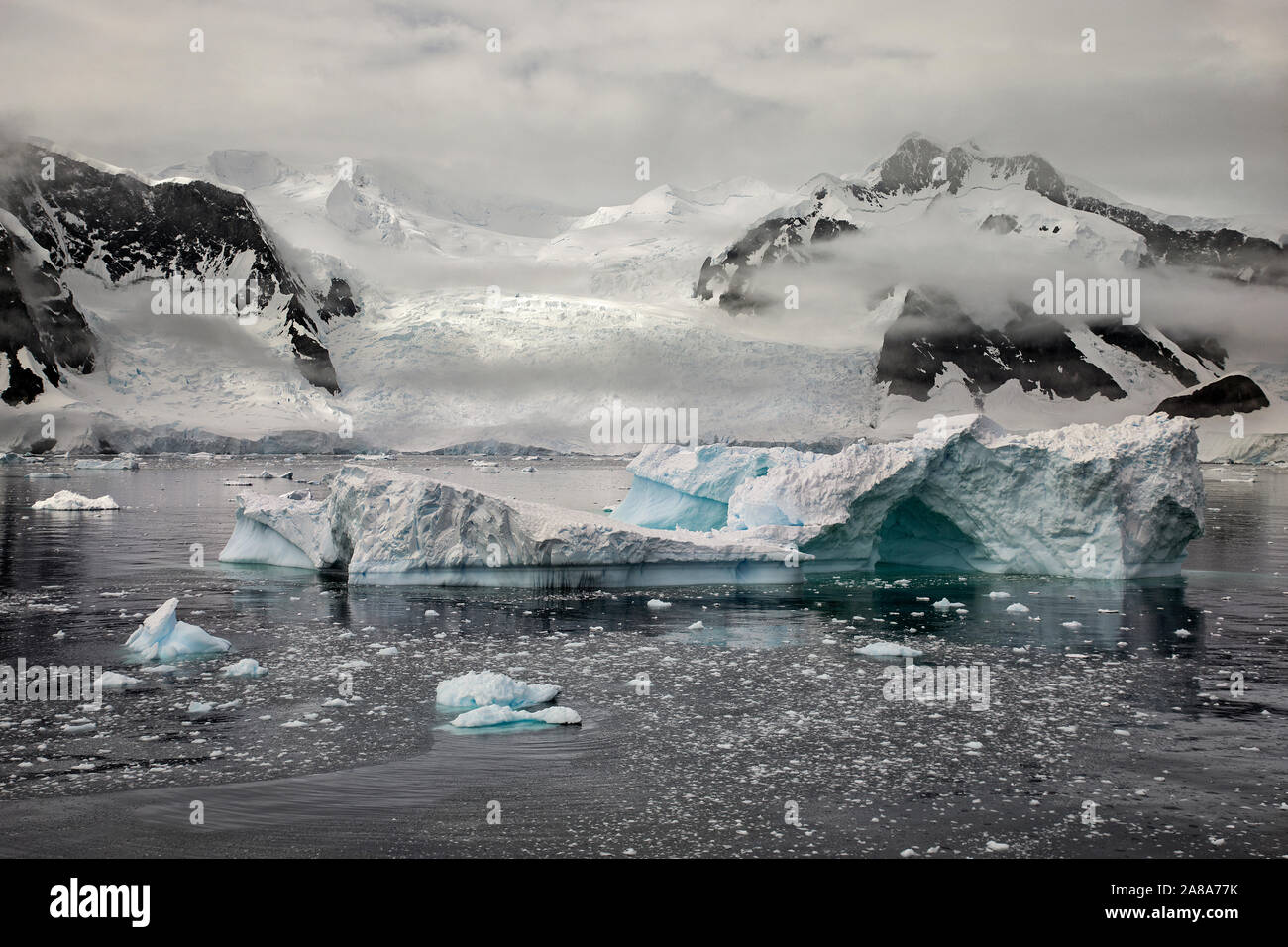 Iceberg and icy waters with glacier backdrop along the Antarctica ...