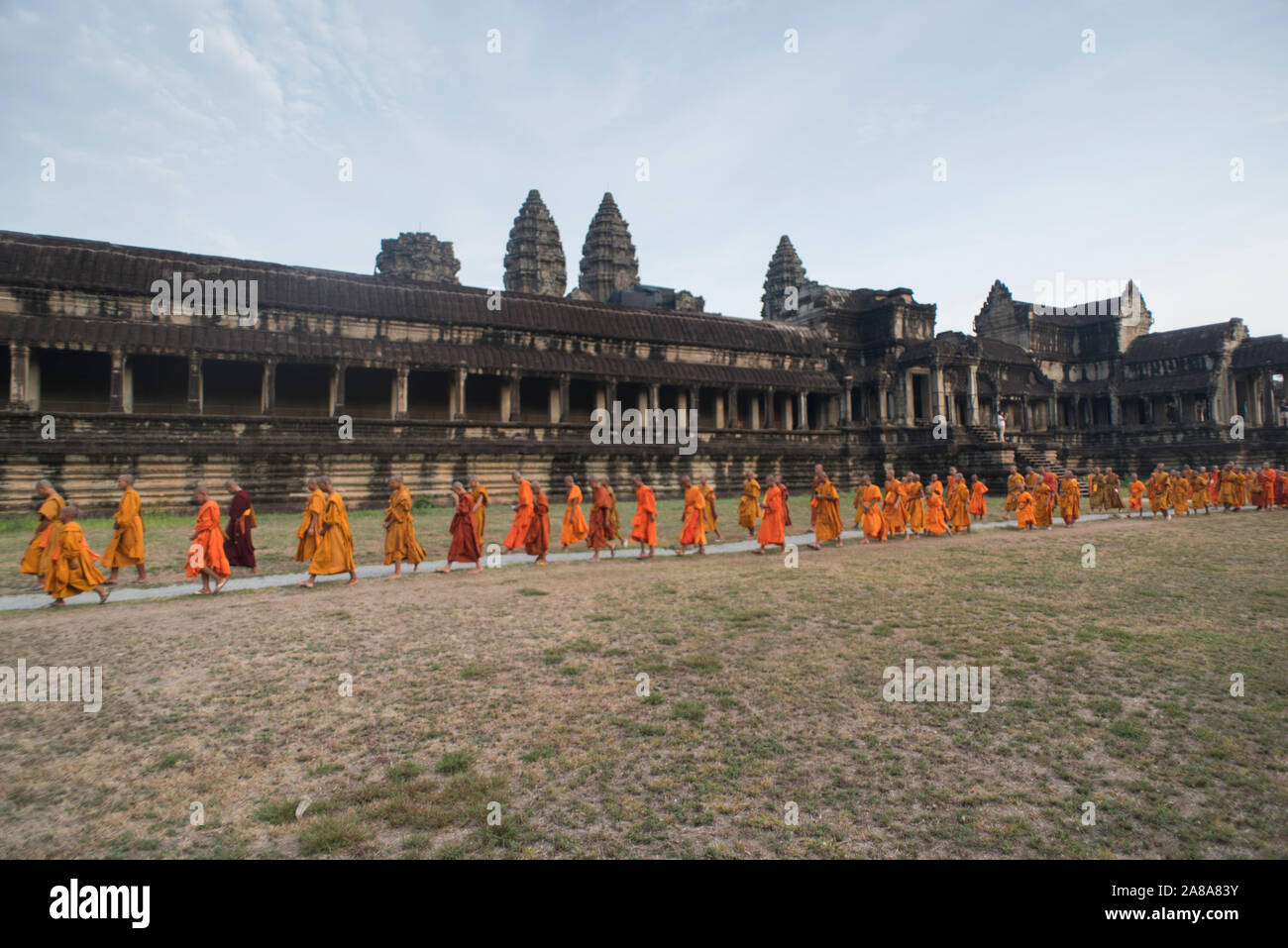 Large group of Buddhist monks during the celebration of the Visak Bochea at the Angkor Wat temple, Siem Reap, Cambodia. Stock Photo