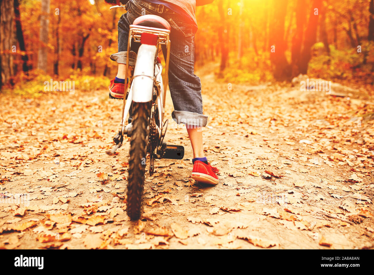 Boy on bike in the forest, child on the bicycle, autumn Stock Photo