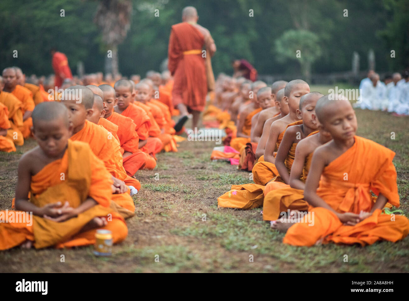 Large group of Buddhist monks during the celebration of the Visak Bochea at the Angkor Wat temple, Siem Reap, Cambodia. Stock Photo