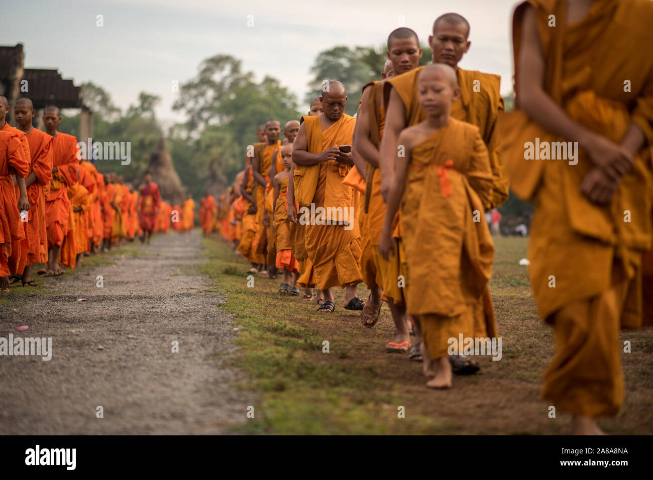 Large group of Buddhist monks during the celebration of the Visak