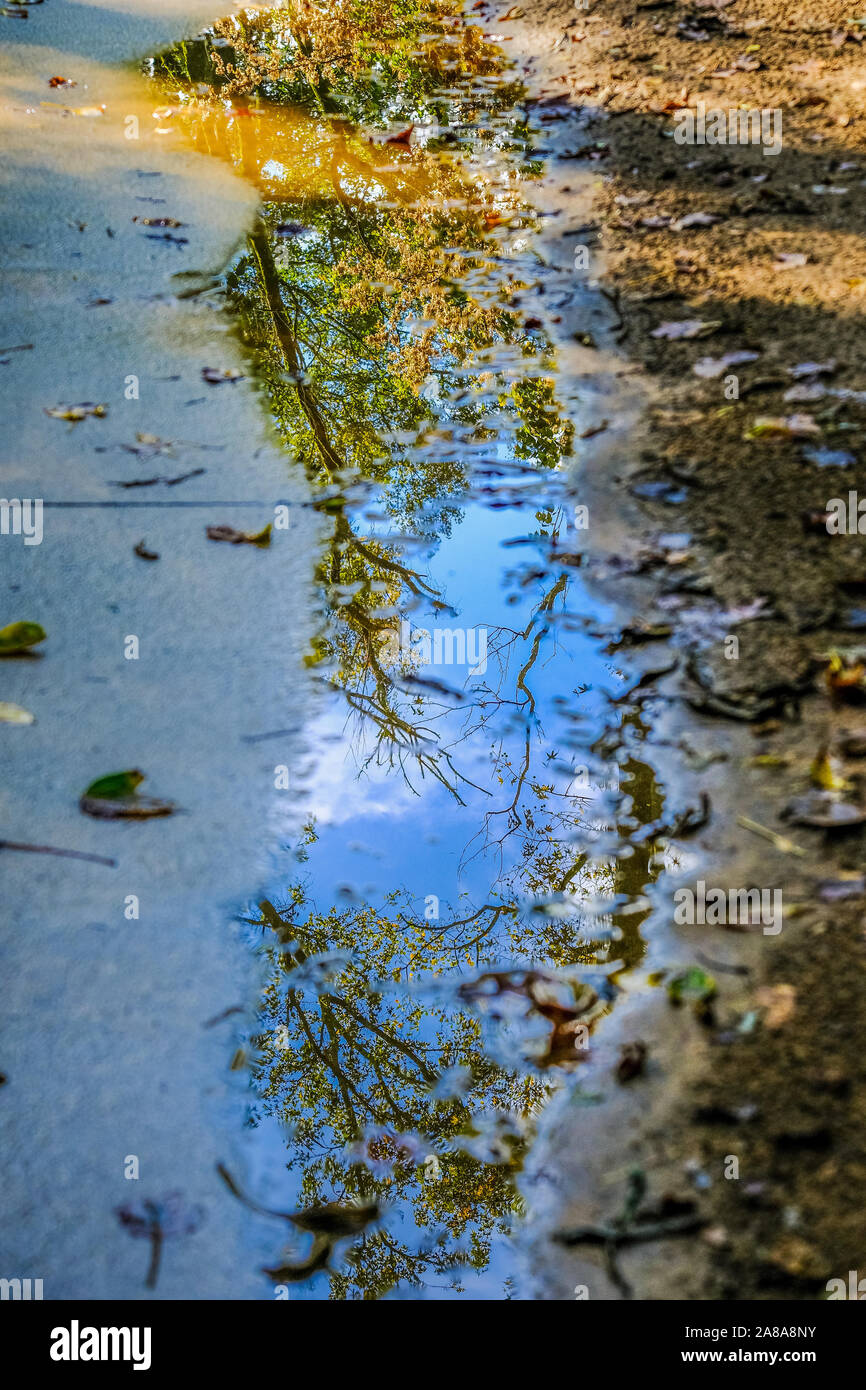 Reflected Environments Reflected environment hi-res stock photography and images - Alamy