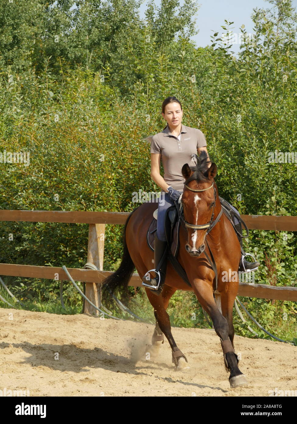 St. Petersburg, Russia, august 19, 2019 Woman jockey riding a horse