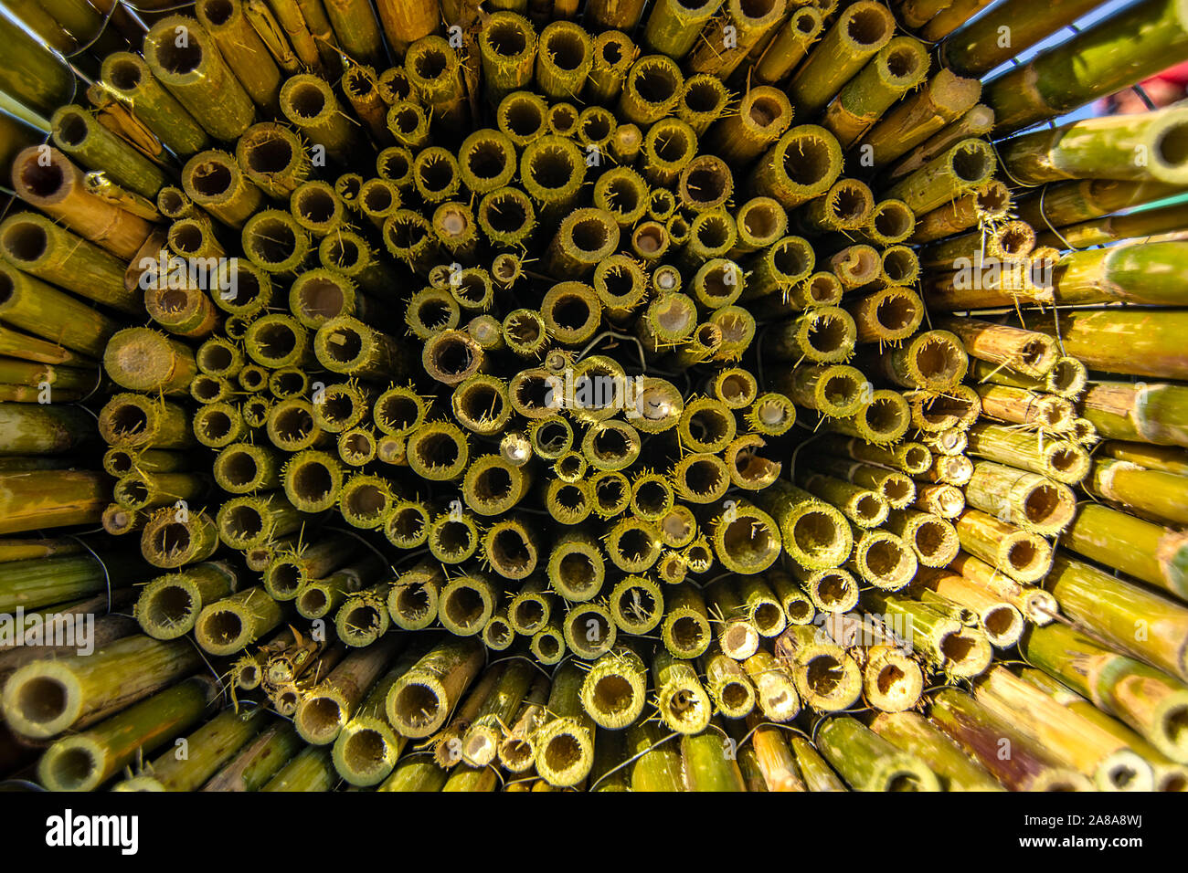 reed weaving and make canopy Stock Photo Alamy