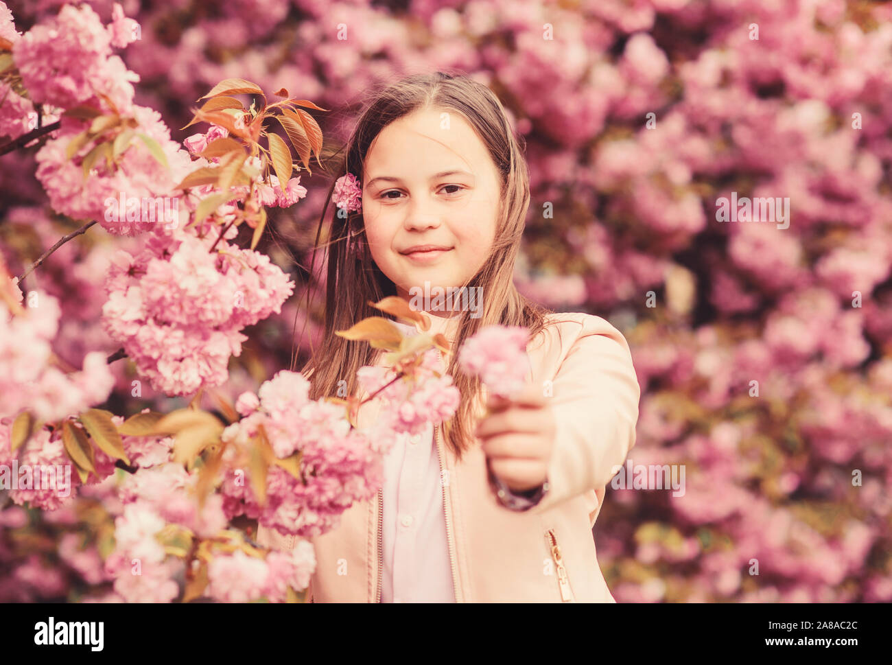 Kid enjoy cherry blossom sakura. Kid on pink flowers sakura tree