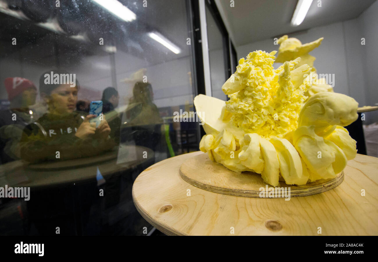 Toronto, Canada. 7th Nov, 2019. A student (Front) takes a photo of the
