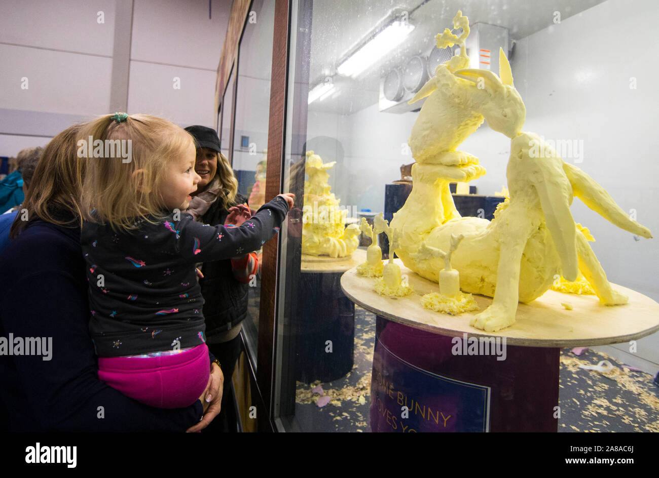 Toronto, Canada. 7th Nov, 2019. People look at butter sculptures during