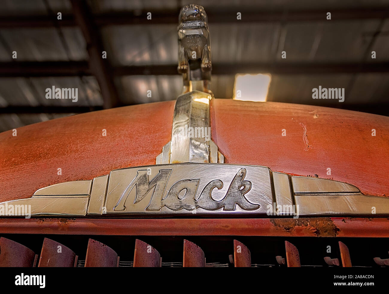 The bulldog hood ornament of a vintage 1950 Mack Truck is pictured at Waste Pro's garbage truck museum, March 18, 2016, in Sanford, Florida. Stock Photo