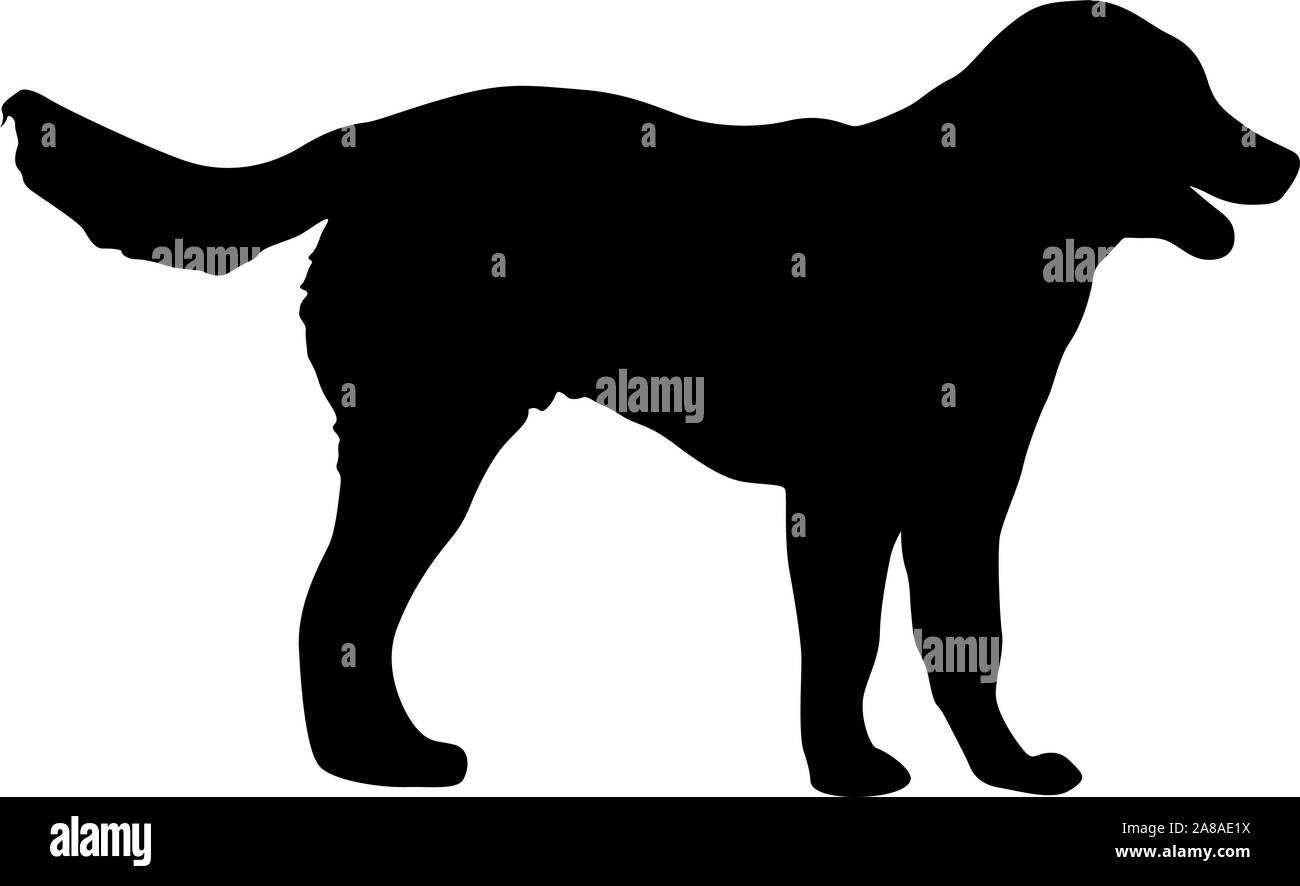 Shepherd dog silhouette on a white background Stock Vector Image & Art