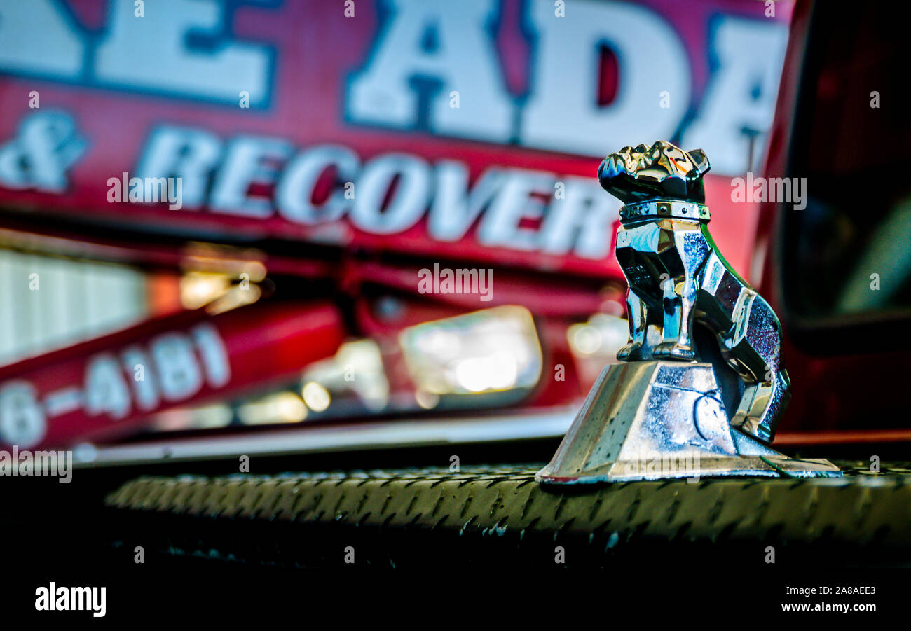 A Mack Trucks bulldog hood ornament adorns a tool chest at Mike Adams Towing and Air Cushion Recovery, March 22, 2016, in Macon, Georgia. Stock Photo