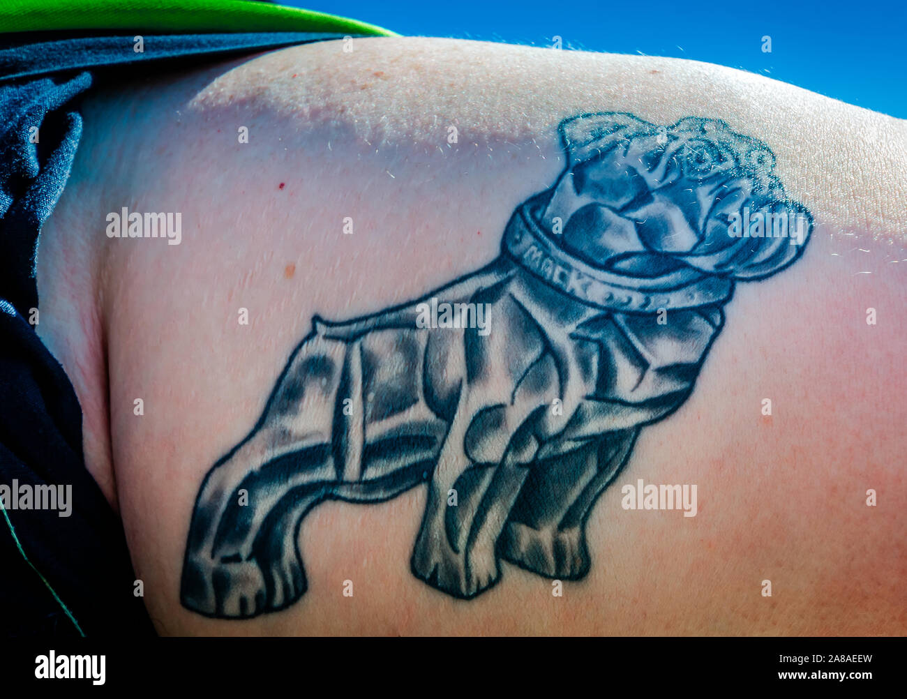 Lane Adams shows off his Mack bulldog tattoo at Mike Adams Towing and Air  Cushion Recovery, March 22, 2016, in Macon, Georgia Stock Photo - Alamy
