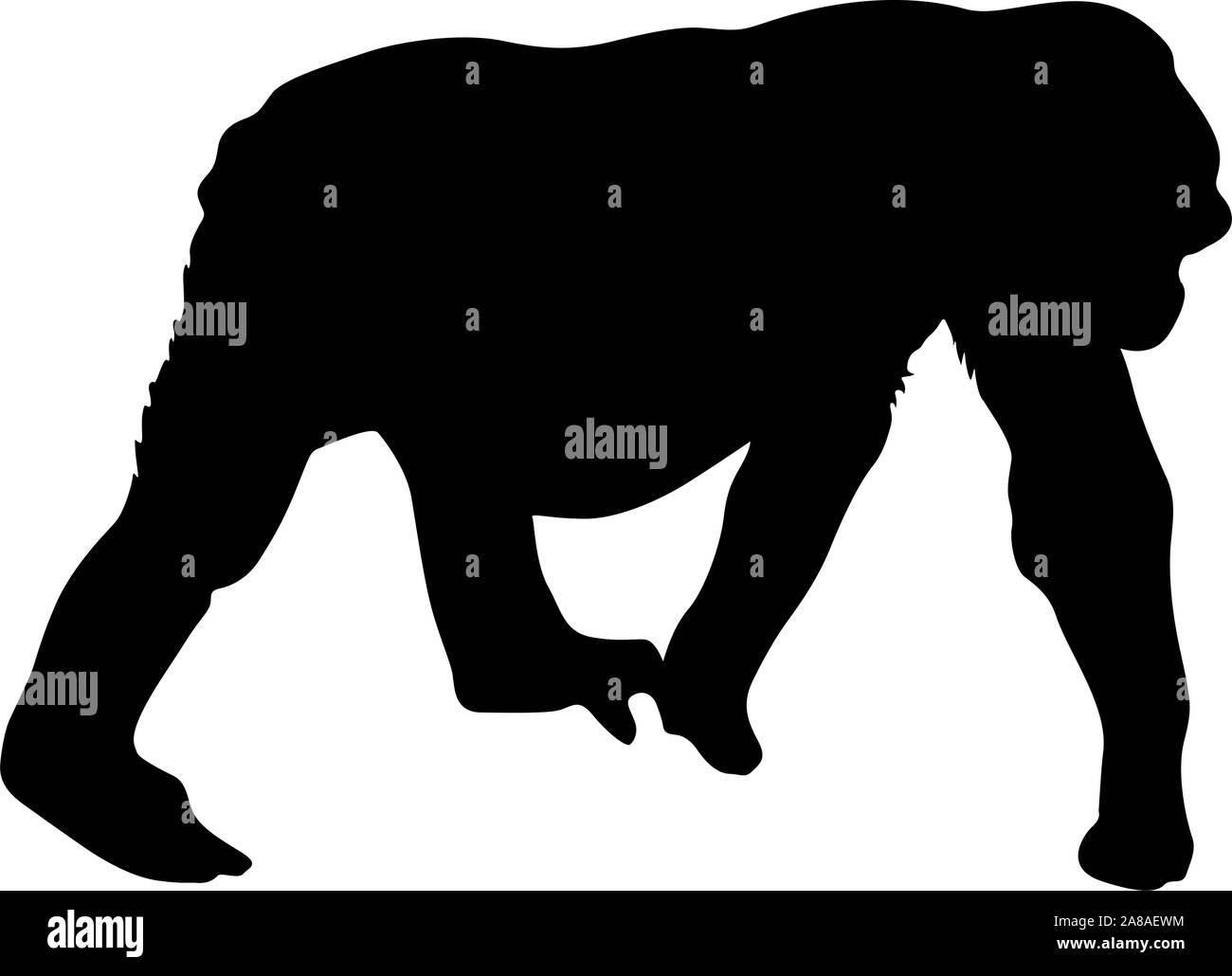 Black silhouette gorilla on a white background. Stock Vector