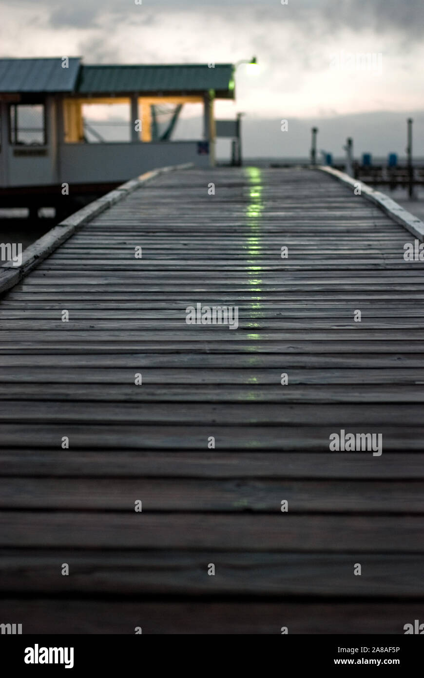 Rickys High Resolution Stock Photography And Images Alamy