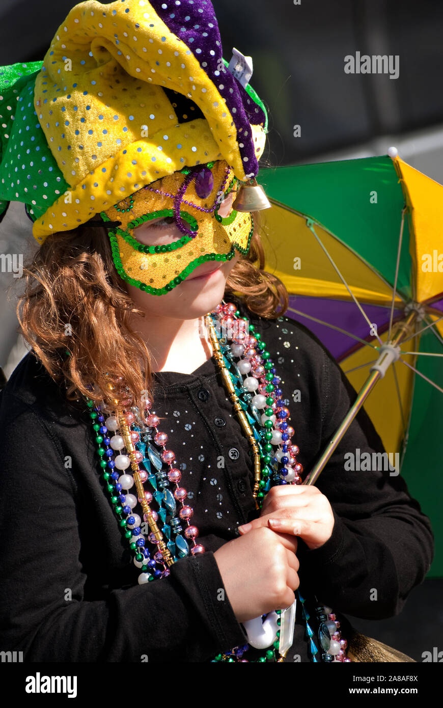 little girl mardi gras dresses