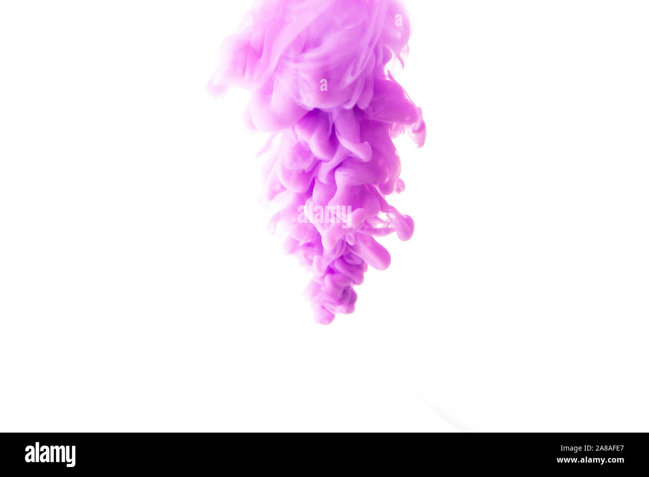 Abstract flowing liquid or purple ink in water on a white background ...
