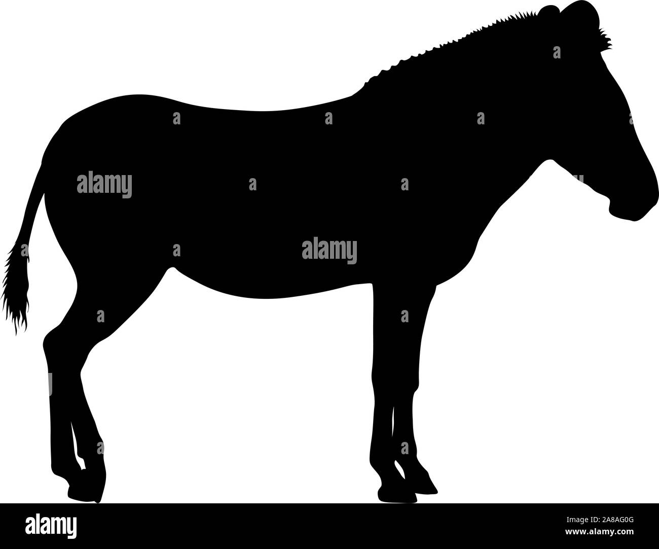 Silhouette african zebra on a white background Stock Vector Image & Art ...