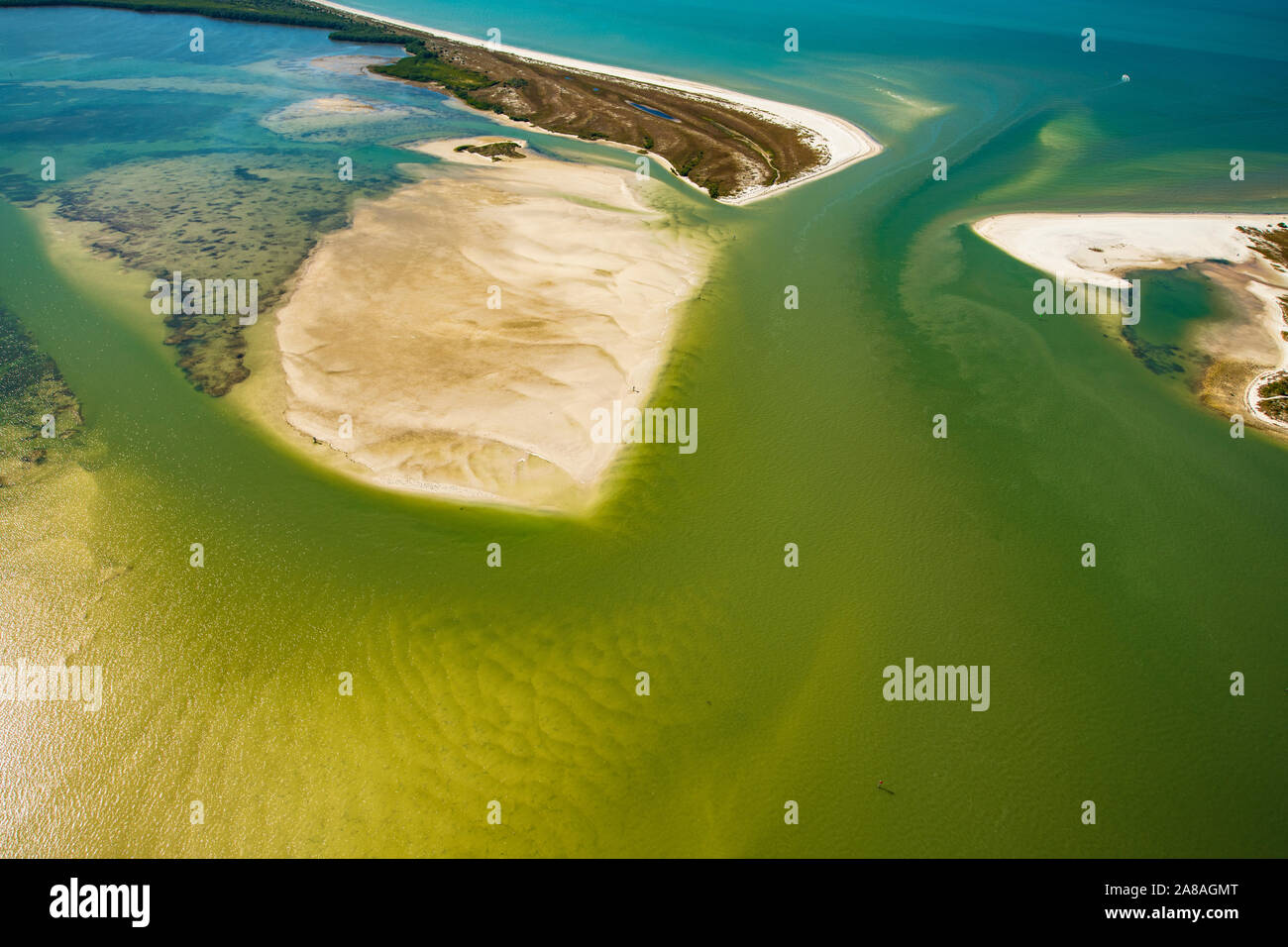 Caladesi and Honeymoon Islands State Parks, Florida. Southwest Florida near Clearwater Beach, Gulf of  Mexico Stock Photo