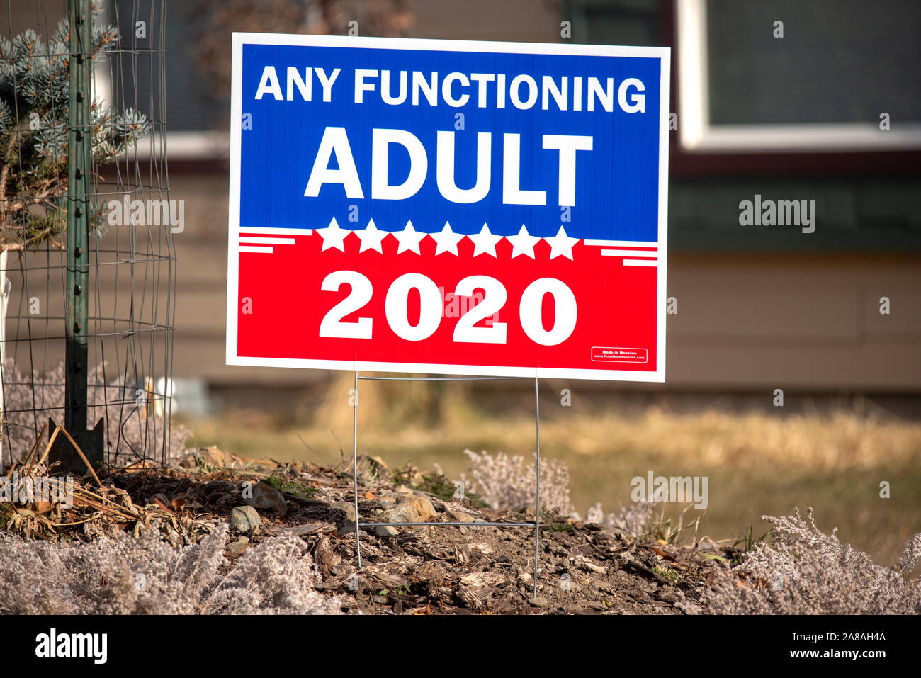 Any Functioning Adult 2020 lawn sign in Joseph, Oregon.  The sign is a critical reference to Donald Trump. Stock Photo