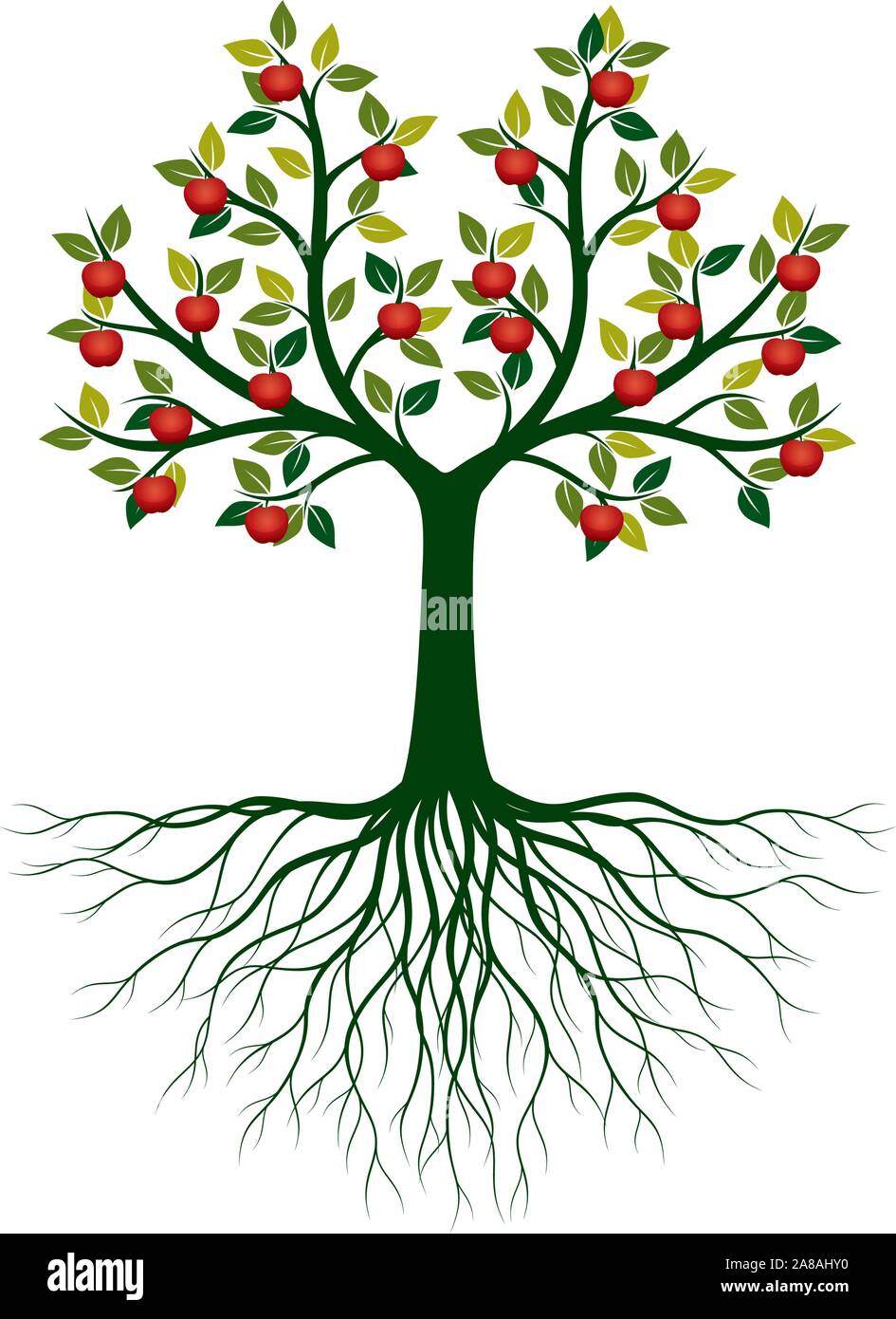 Green Isolated Tree with Roots on white background. Red Apple Fruits. Vector Illustration and concept. Plant in garden. Stock Vector