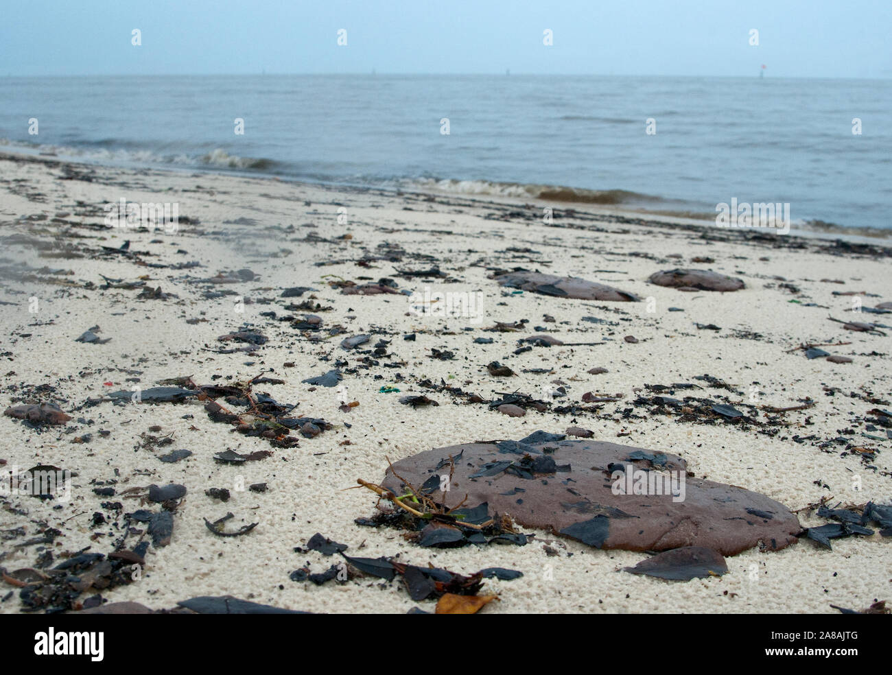 Tar patties of oil from the BP oil spill litter the beach in Gulfport, Mississippi, June 30, 2010. Stock Photo
