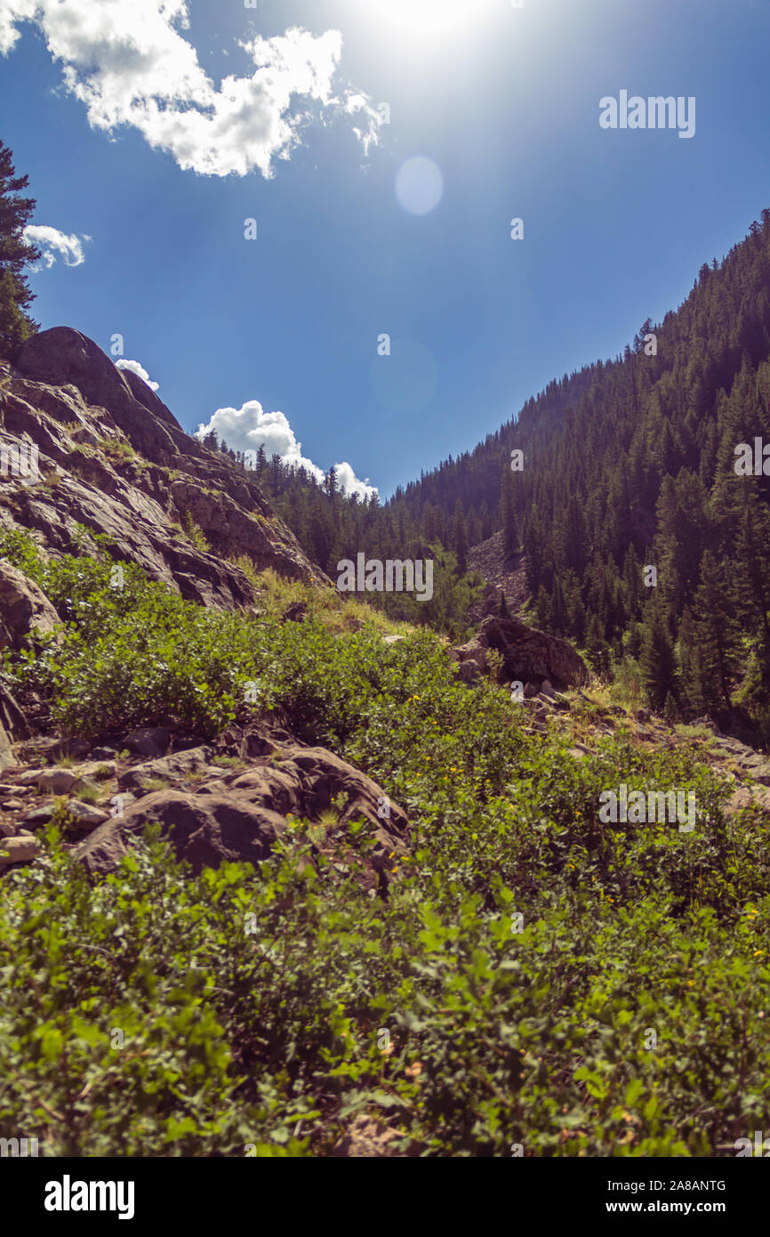 The rocky terrain and tree-clad hills near Fish Creek Falls in Colorado Stock Photo