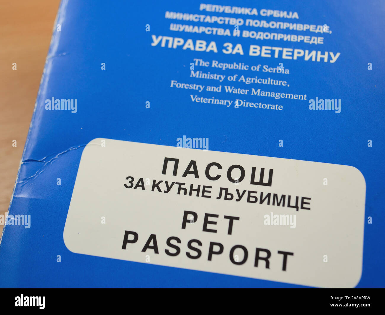 Serbian blue pet passport Stock Photo