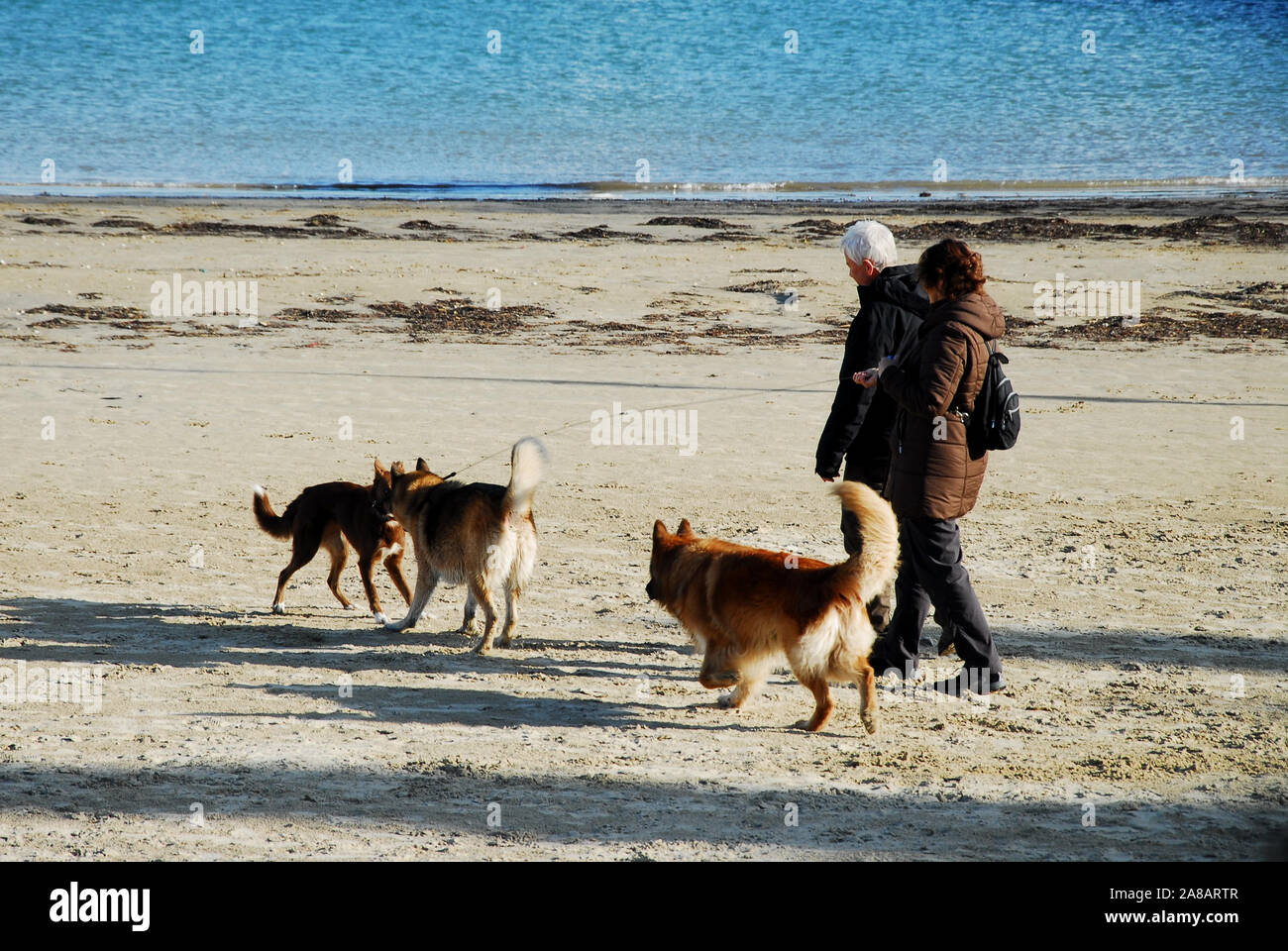 Weymouth. 7th November 2019. UK Weather. Weymouth is busy in the