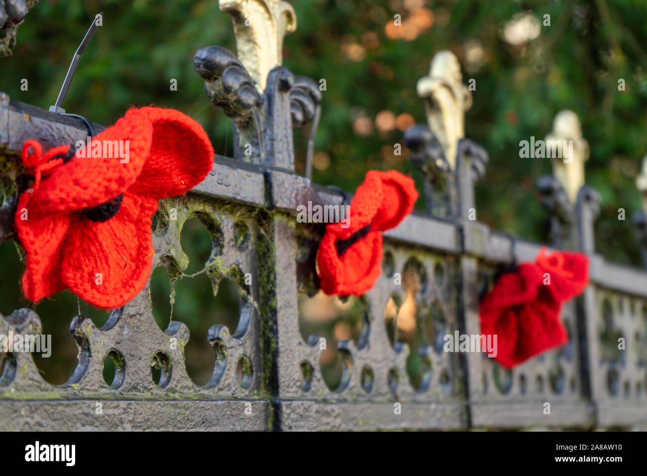 knitted red poppies attached to a fence for remembrance day Stock Photo