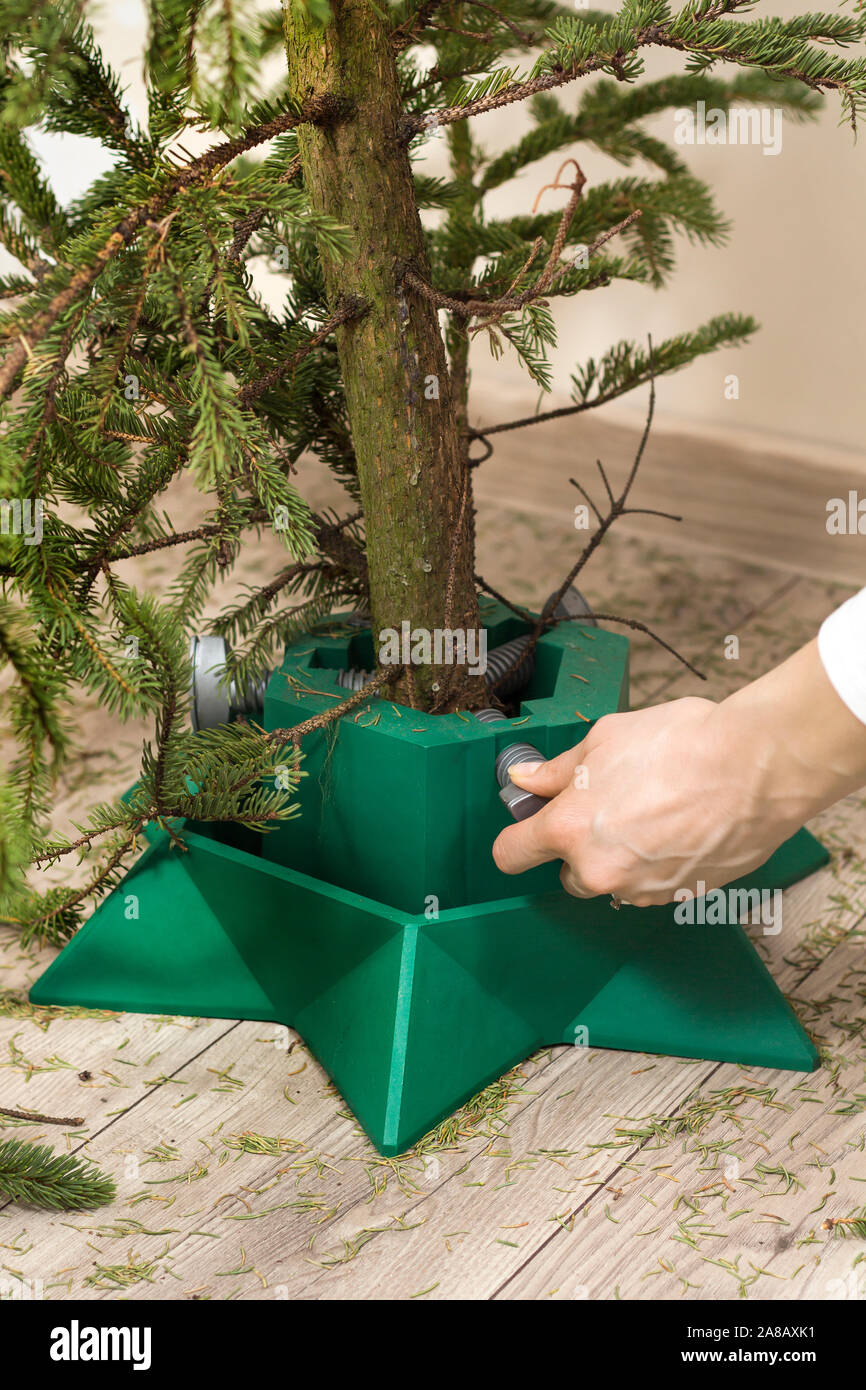 Stand for the Christmas tree. Mounting the trunk in the base Stock