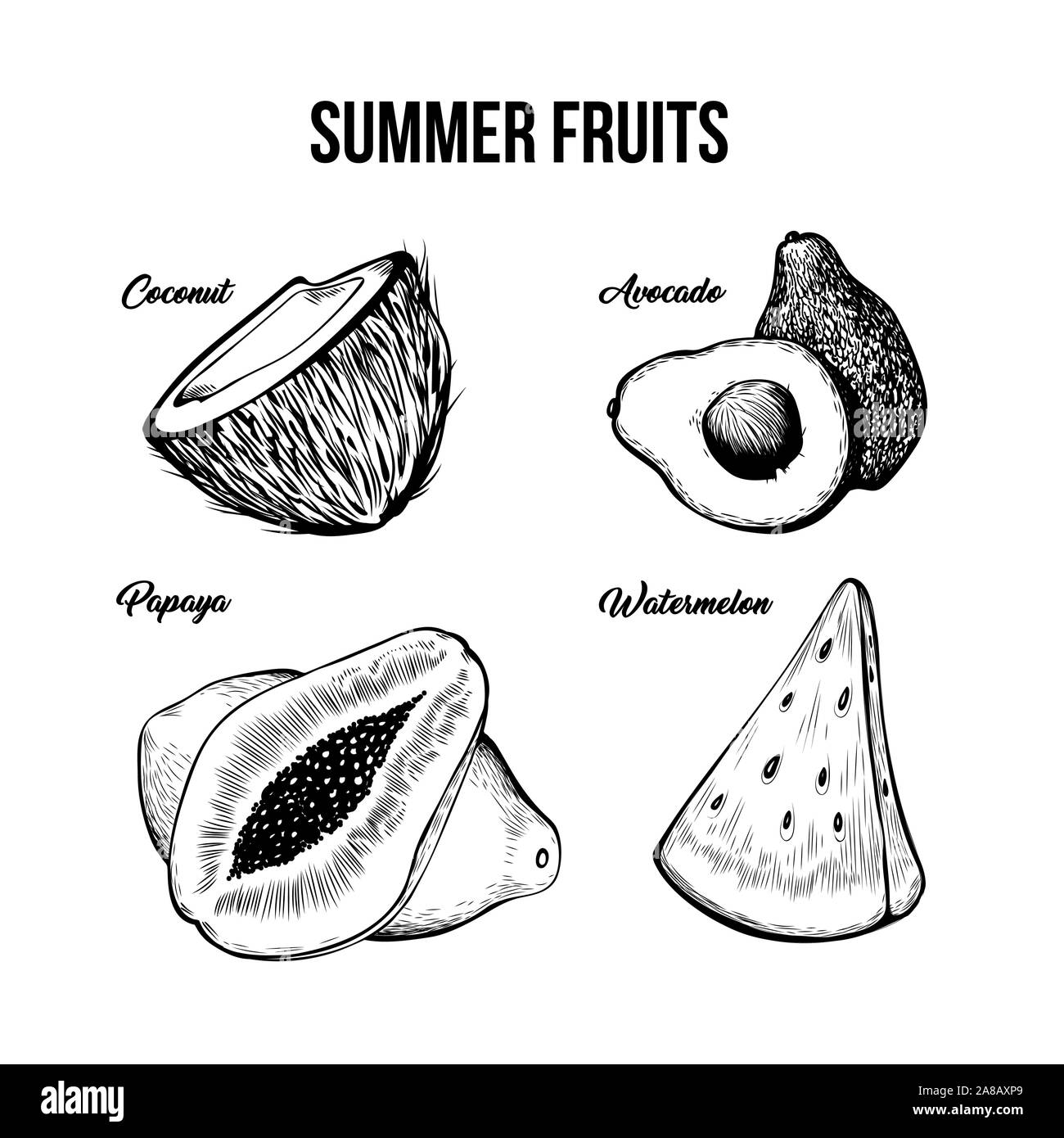 Summer fruits black and white illustrations set. Natural exotic dessert, tropical food with lettering. Juicy coconut, avocado, papaya and watermelon ink pen drawings pack. Vitamin juice ingredients Stock Vector