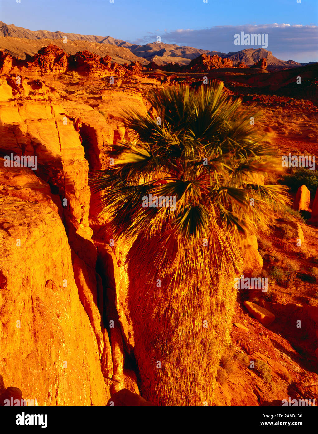 Gold butte hires stock photography and images Alamy