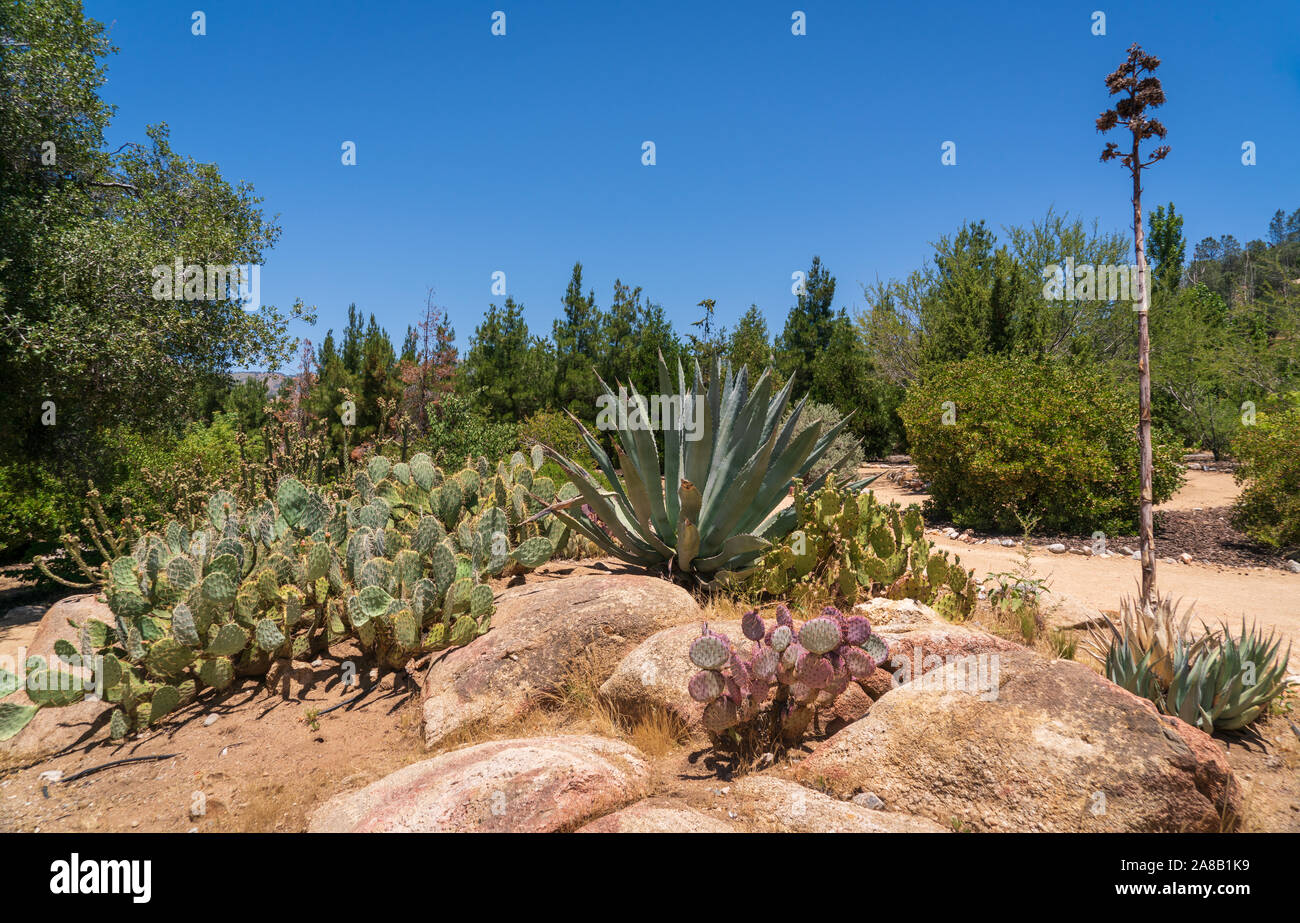 César E. Chávez National Monument Stock Photo Alamy