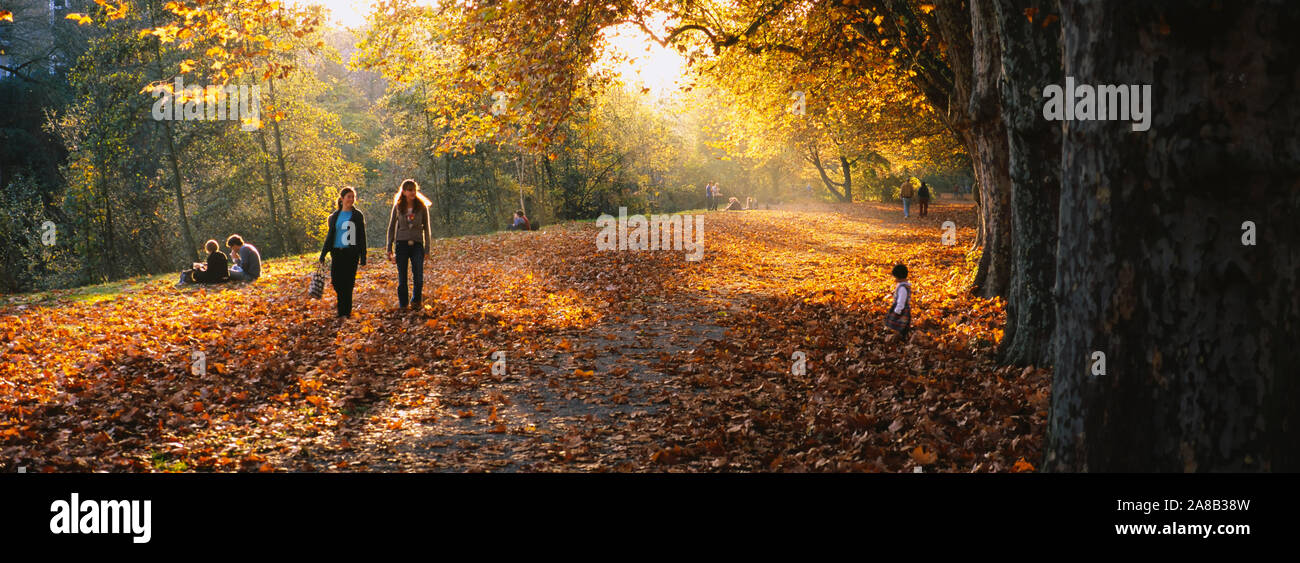 Group Of People In A Park, Tuebingen, BadenWurttemberg, Germany Stock