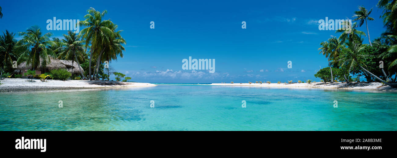 Palm trees on the beach, Tikehau, French Polynesia Stock Photo