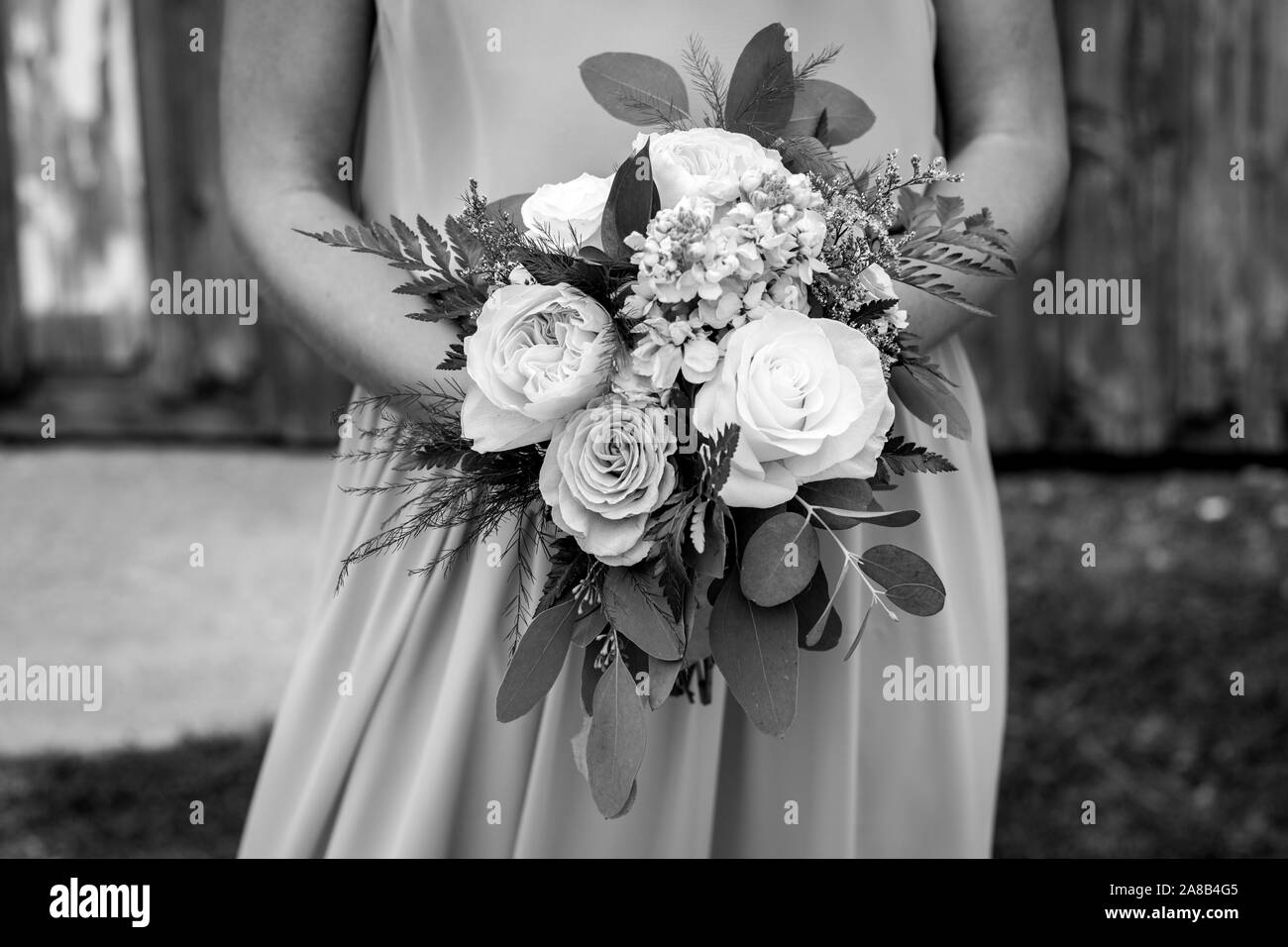 Close up of a bride holding her large bouquet filled with various flowers and greenery. Black and white. Stock Photo