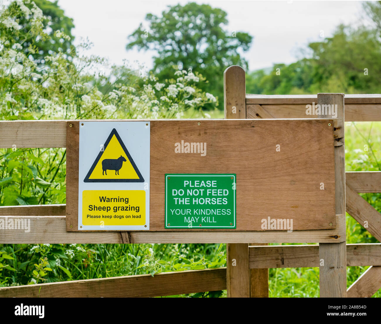 Dogs do kill sheep hires stock photography and images Alamy