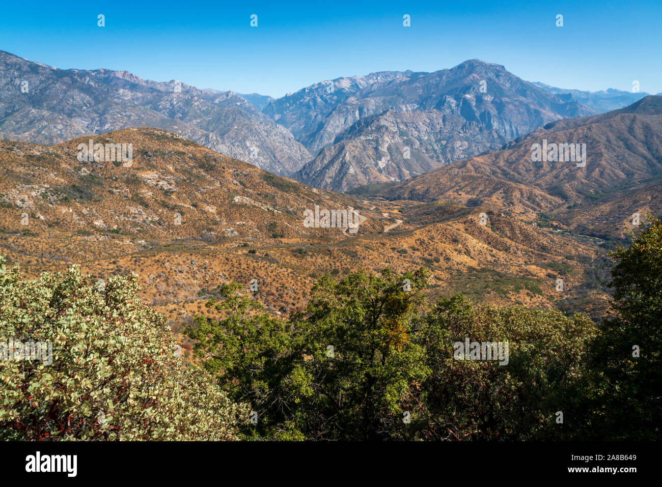 Giant sequoia national monument eastren central california stock photo