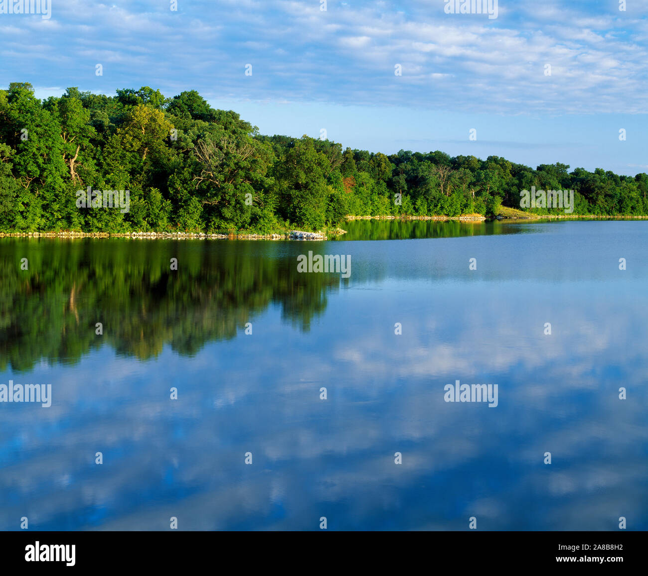 Landscape with trees growing on shore of Big Creek Lake, Big Creek Lake