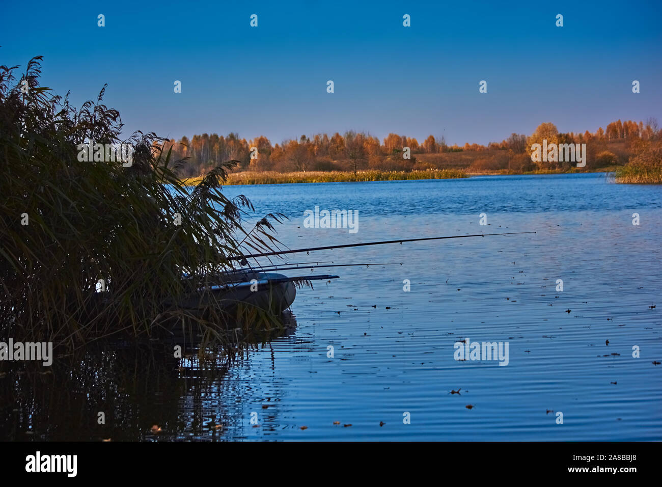 Fisherman on a boat in the autumn on a lake in the reeds Stock Photo