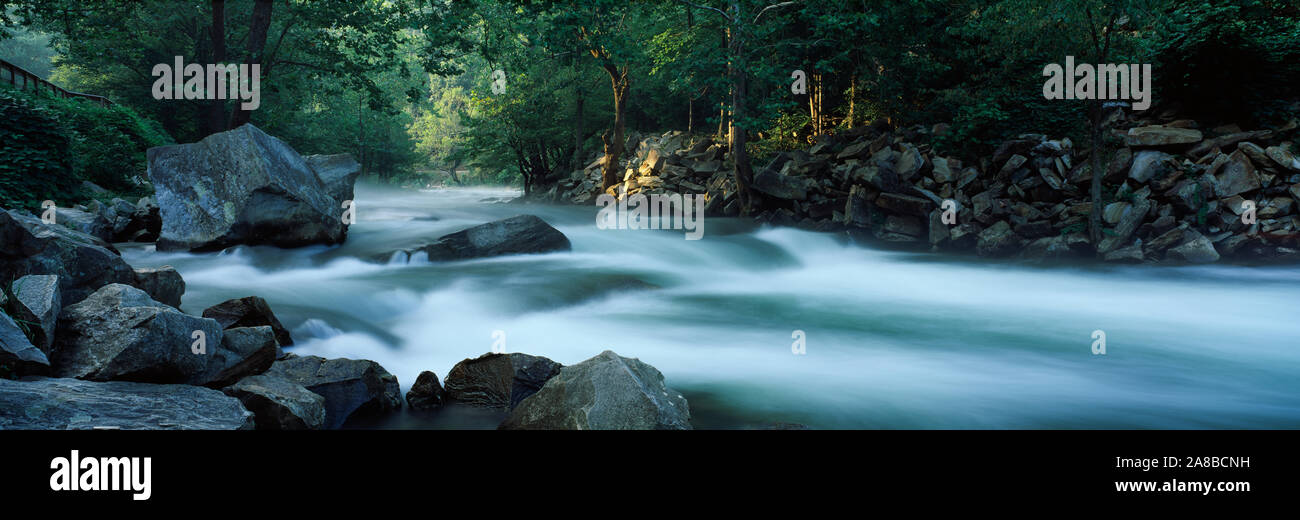 River passing through a forest, Nantahala Falls, Nantahala National Forest, North Carolina, USA Stock Photo