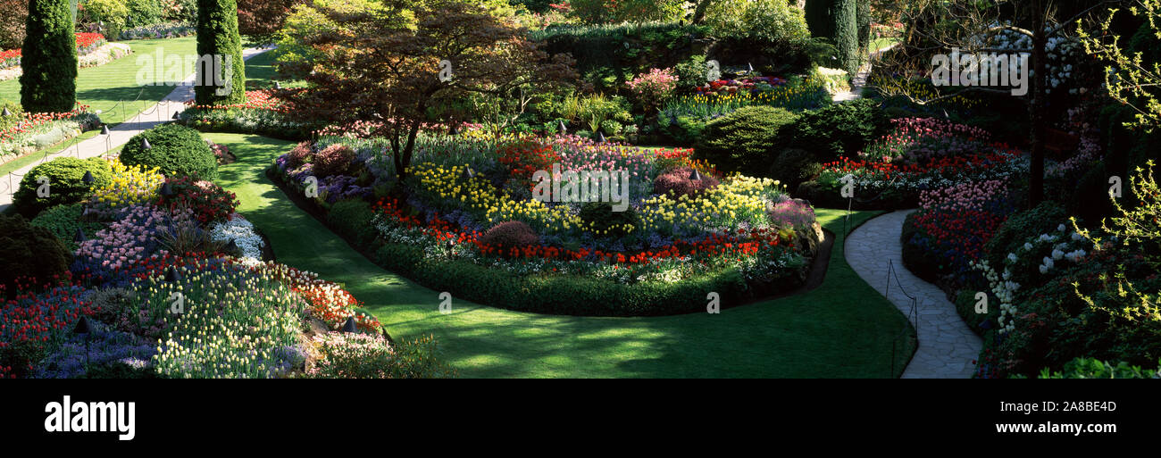 Flowers in a garden, Butchart Gardens, Brentwood Bay, Vancouver Island, British Columbia, Canada Stock Photo