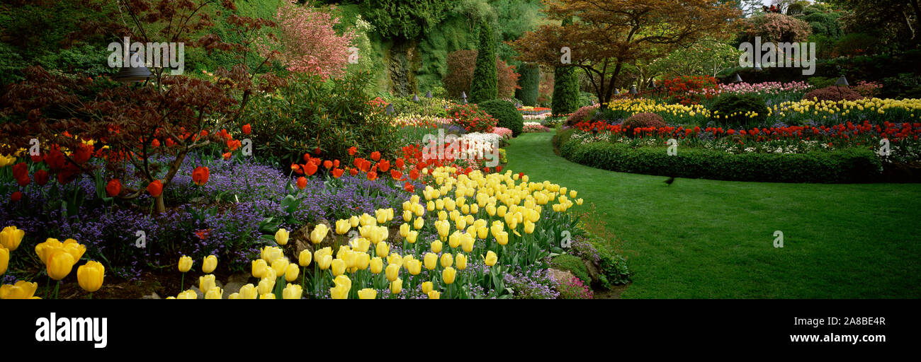 Flowers in a garden, Butchart Gardens, Brentwood Bay, Vancouver Island, British Columbia, Canada Stock Photo