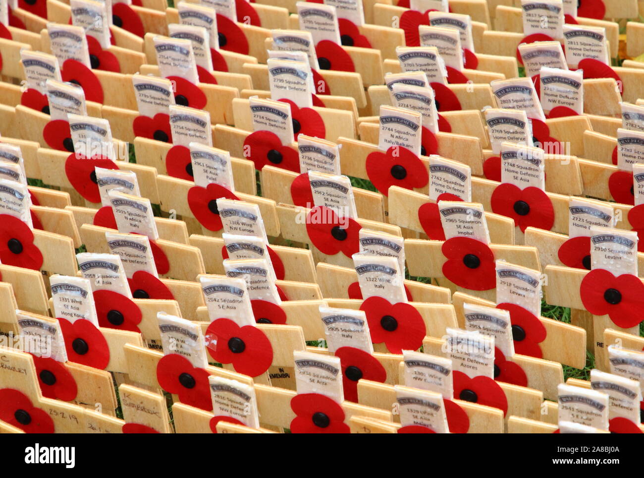 London, UK. 07th Nov, 2019. Poppies on crosses seen during the Opening of the Westminster Abbey Field of Remembrance in London. Credit: SOPA Images Limited/Alamy Live News Stock Photo