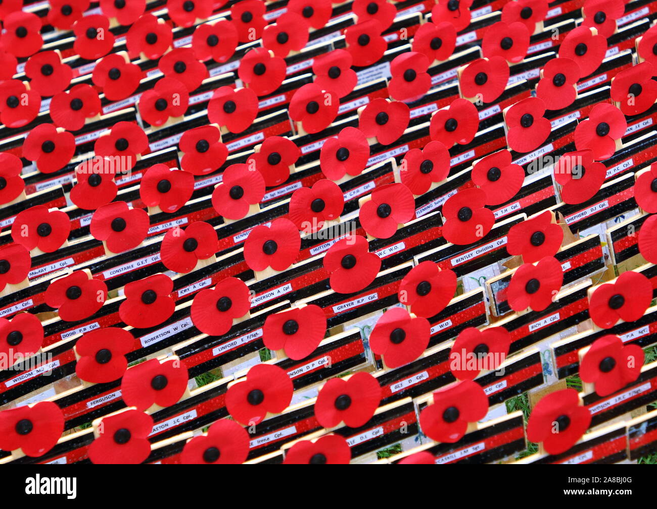London, UK. 07th Nov, 2019. Poppies on crosses seen during the Opening of the Westminster Abbey Field of Remembrance in London. Credit: SOPA Images Limited/Alamy Live News Stock Photo
