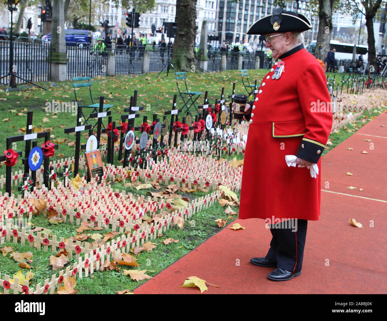 London, UK. 07th Nov, 2019. Old Solider looks at the Poppies on crosses during the Opening of the Westminster Abbey Field of Remembrance in London. Credit: SOPA Images Limited/Alamy Live News Stock Photo