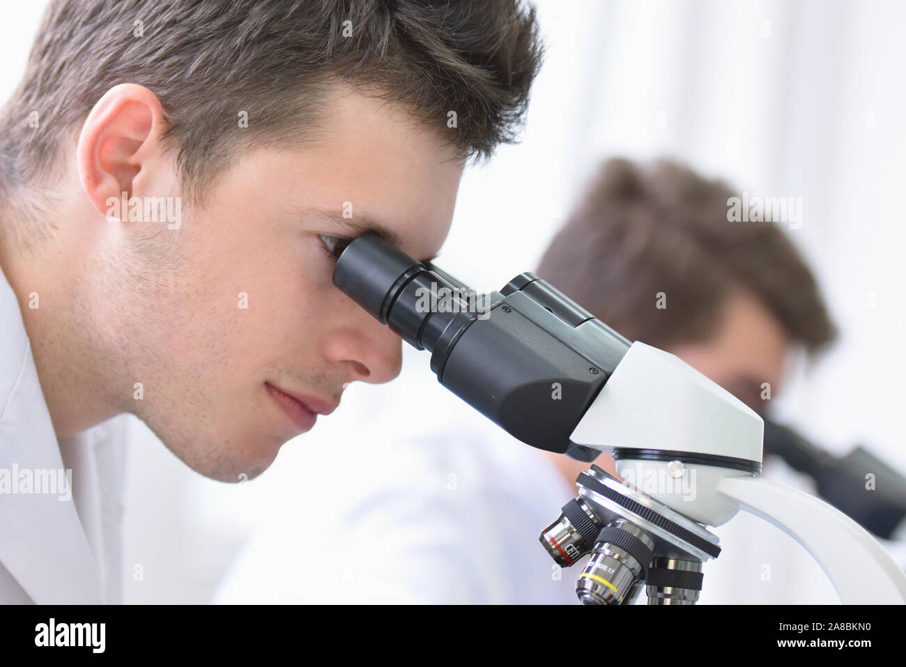 Two Young male scientists looking through a microscope in a laboratory ...