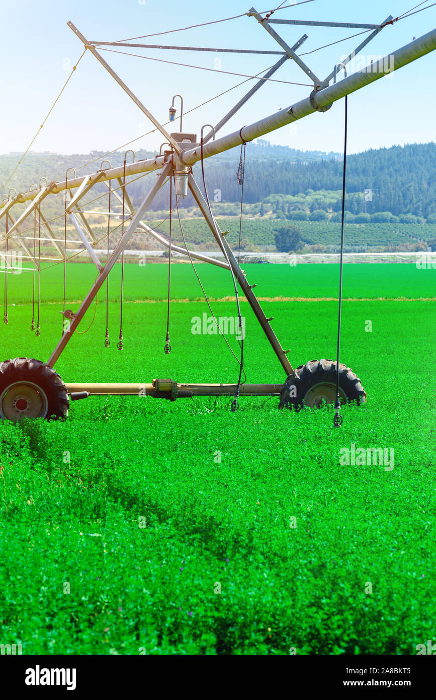 Center pivot sprinkler system watering plants in a green field Stock
